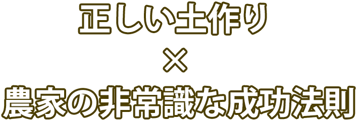 正しい土作り 非常識な成功法則